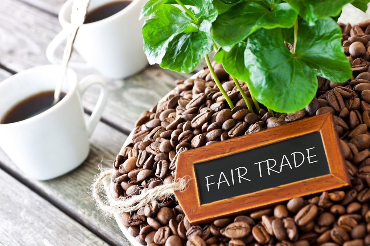 Bio-Fairtrade-03.jpg