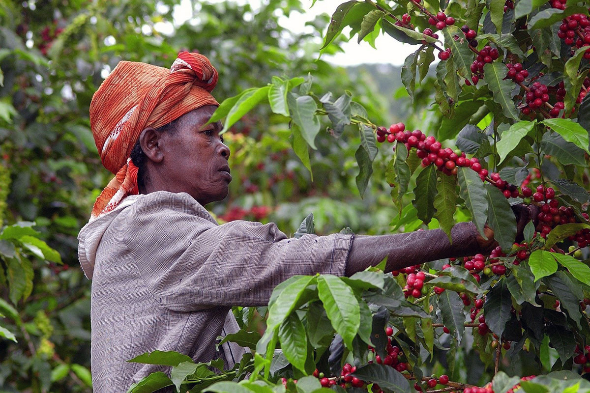 Bio-Fairtrade-04.jpg