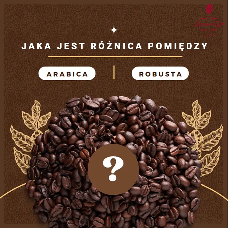 roznice arabica robusta